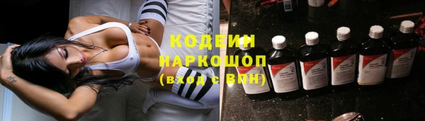 шишки Алексин
