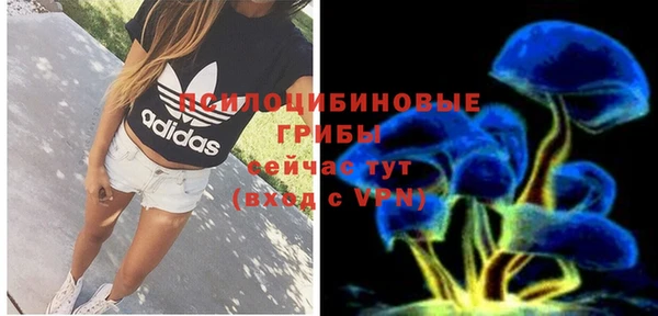 метамфетамин Алексеевка