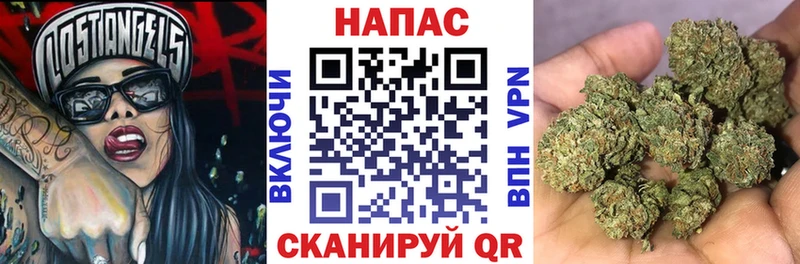 купить закладку  даркнет официальный сайт  Канабис Bruce Banner  Луга  блэк спрут зеркало 